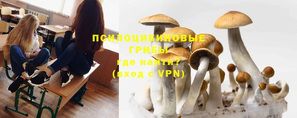 MDMA Беломорск