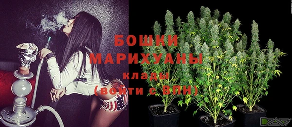крисы Белоозёрский