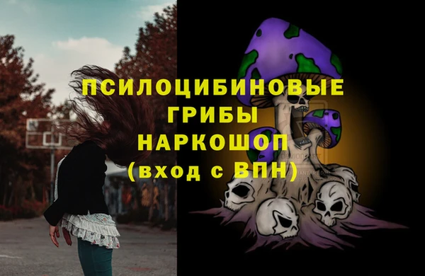 метадон Белокуриха