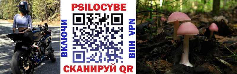 Псилоцибиновые грибы Magic Shrooms  наркошоп  Кувандык 